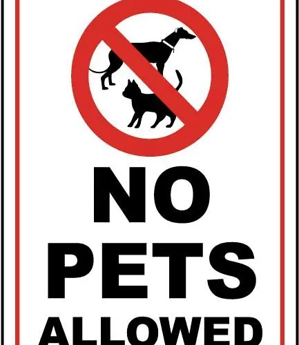 Rafa's House Feriehus