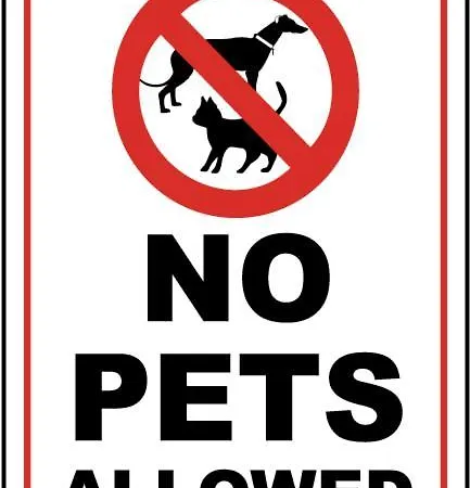 Rafa's House Casa vacanze